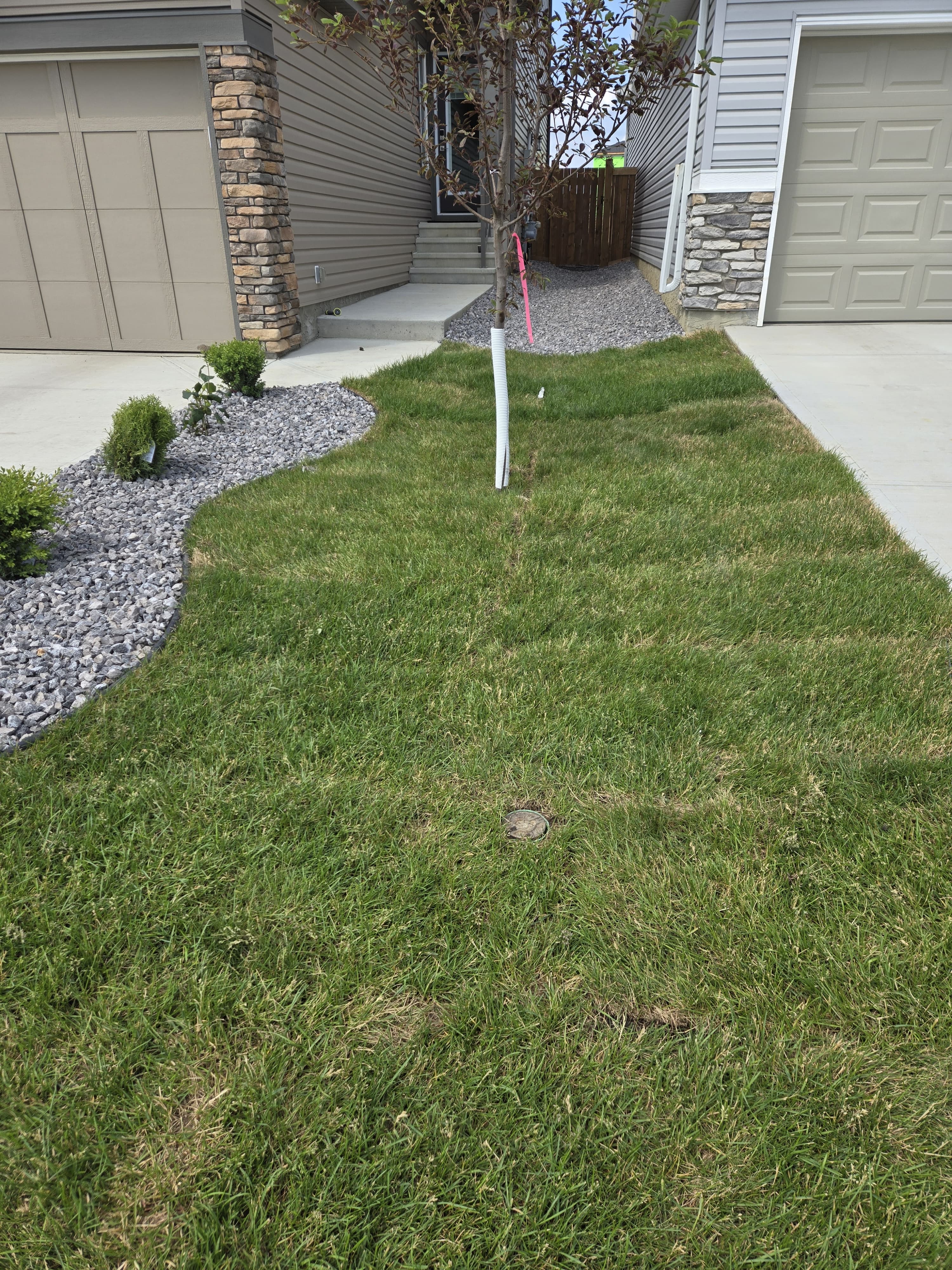 Front Landscaping