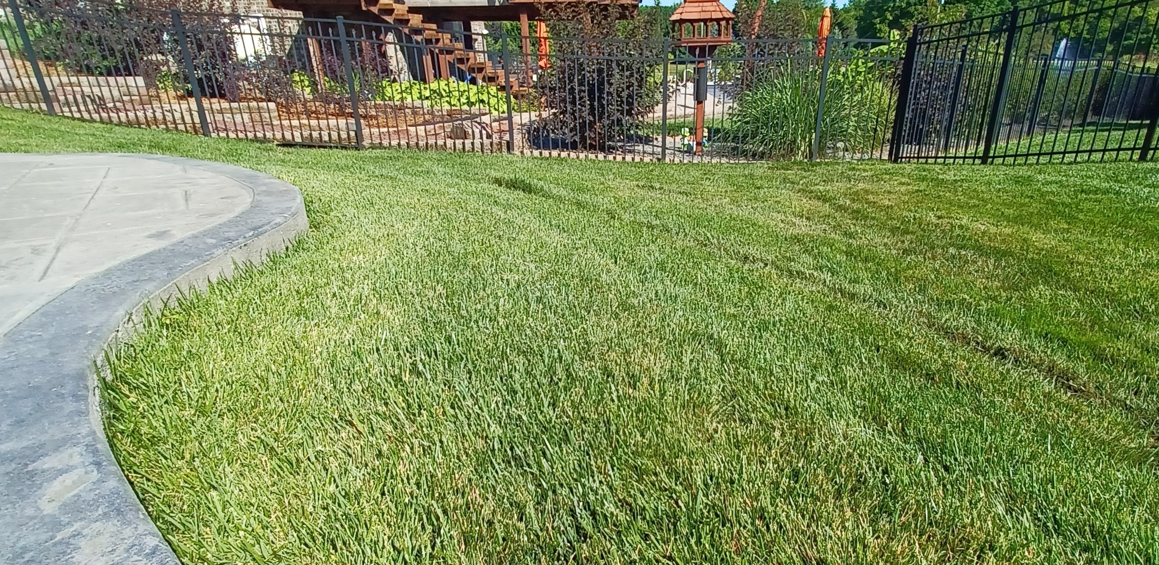 Final grading project